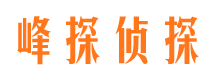 小河市调查公司